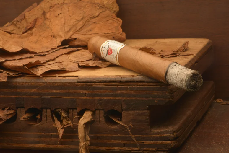 Cigarros Brevas, imagen 3 de 23