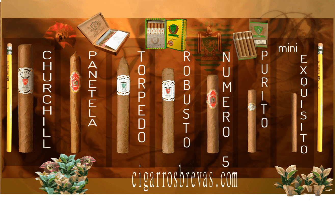 Diversas Vitolas de Puros Brevas