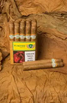 img fundadora cigar brevas
